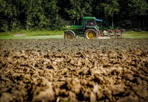 How To Prevent Soil Erosion On Farmlands In 14 Easy Steps