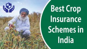 Best Crop Insurance Schemes in India