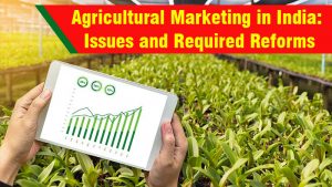 Agricultural Marketing in India: Issues and Required Reforms