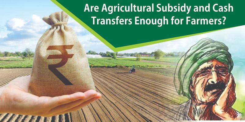 Are Agricultural Subsidy and Cash Transfers Enough for Farmers?