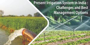 Present Irrigation System in India: Challenges and Best Management Options