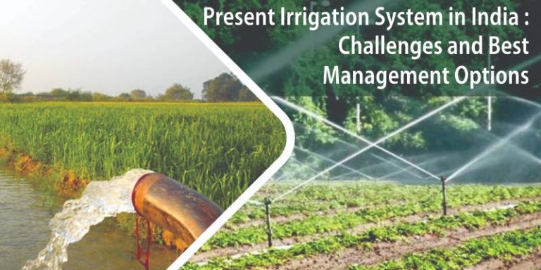 Irrigation System | Different Irrigation Systems | Water Management Option