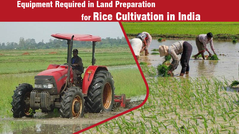 Equipment Required in Land Preparation for Rice Cultivation in India