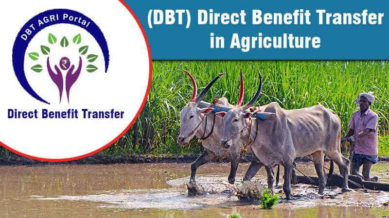 DBT Agriculture – Direct Benefit Transfer