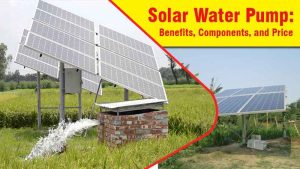 Solar Water Pump: Benefits, Components, and Price