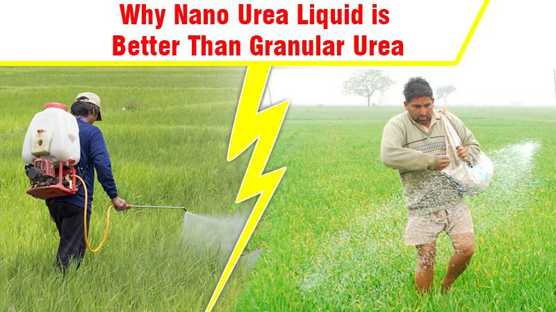 Why Nano Urea Liquid is Better Than Granular Urea