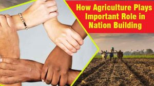 How Agriculture Plays an Important Role in Nation Building