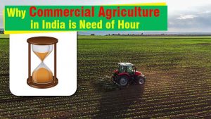 Why Commercial Agriculture in India is Need of Hour