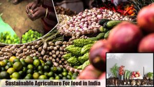 Sustainable Agriculture For food in India
