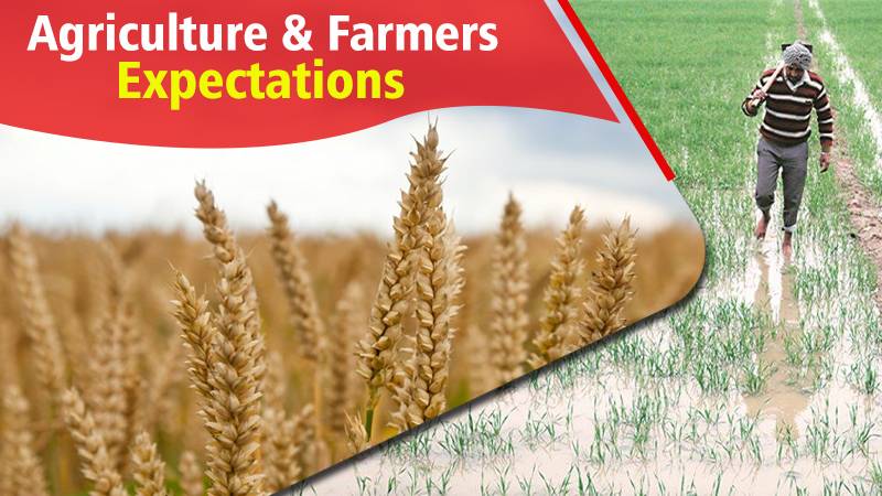 Agriculture and Farmers’ Expectations