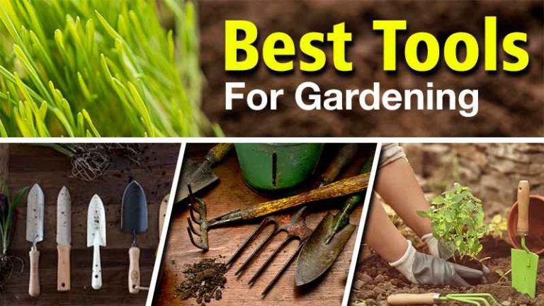 Gardening Tools, Best Tools For Gardening- KhetiGaadi Blog