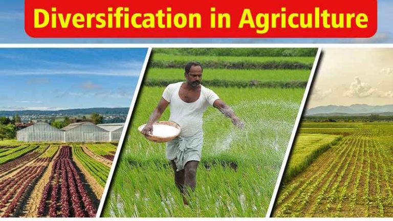 Diversification in agriculture, Types Of Agriculture Diversification