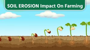 Soil Erosion Impact On Farming