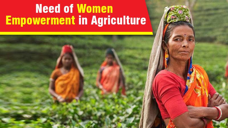 Need of Women Empowerment in Agriculture