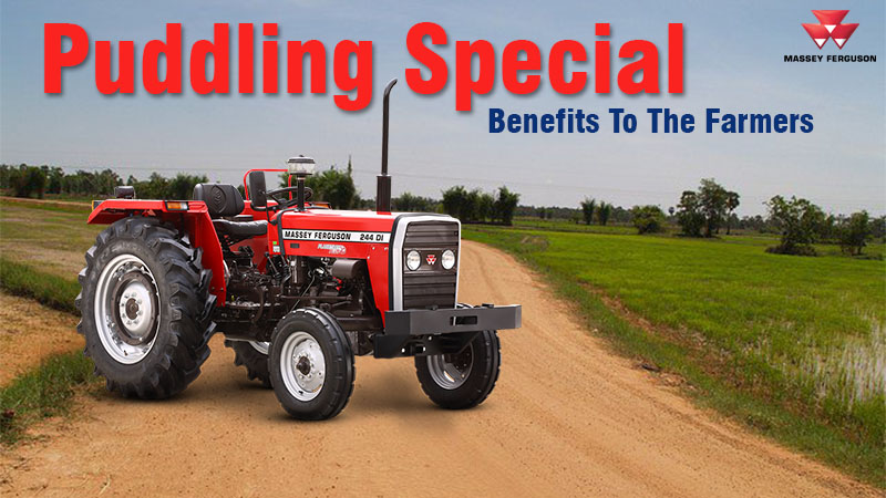 MF 244 Puddling Special -Benefits To The Farmers