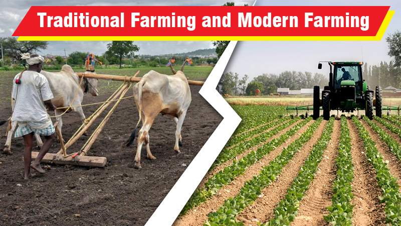 Traditional Farming and Modern Farming