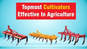 Topmost Cultivators Effective In Agriculture
