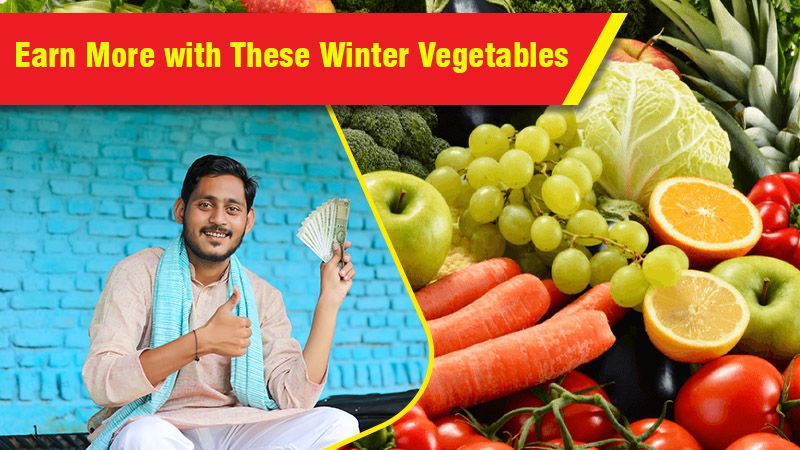 Earn More with These Winter Vegetables