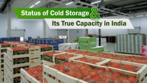 Status of Cold Storage and Its True Capacity in India