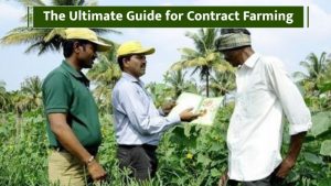 The Ultimate Guide for Contract Farming