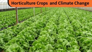 Horticulture Crops and Climate Change