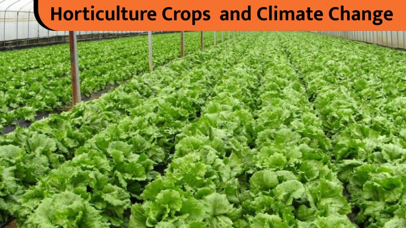 Horticulture Crops and Climate Change
