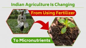Indian Agriculture Is Changing From Using Fertilizer To Micronutrients.