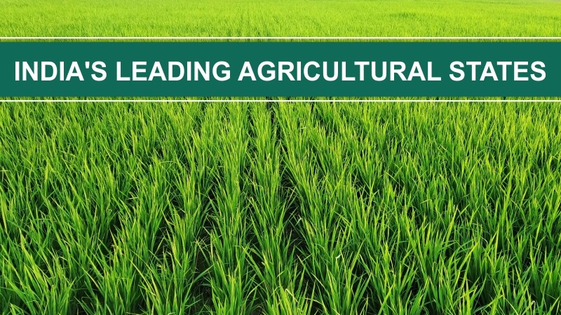 India’s Leading Agricultural States