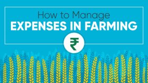 How to Manage Expenses in Farming?