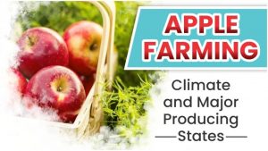 Apple Farming: Climate and Major Producing States