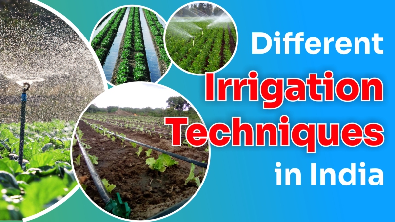 Different Irrigation Techniques in India