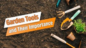 Garden Tools and Their Importance