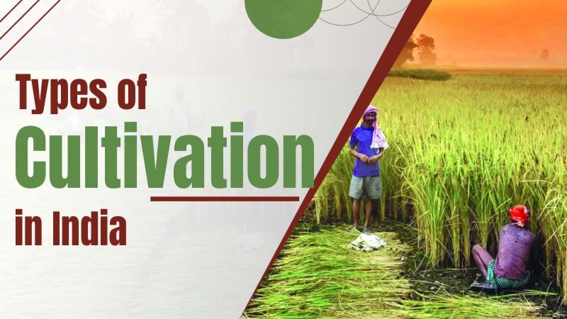 Types of cultivation in India