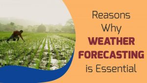 Reasons Why Weather Forecasting is Essential
