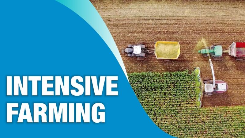 Intensive Farming (Conventional or Industrial Farming)