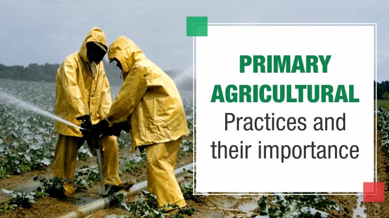 Primary Agricultural Practices and Their Importance