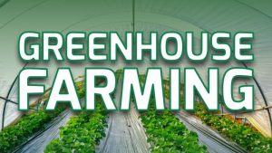 Greenhouse Farming: Different Types in India
