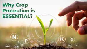 Why Crop Protection is essential?