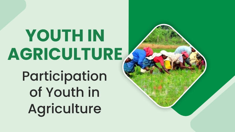 Participation of Youth in Agriculture