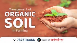 Management of Organic Soil in Farming
