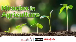 Miracles in Agriculture