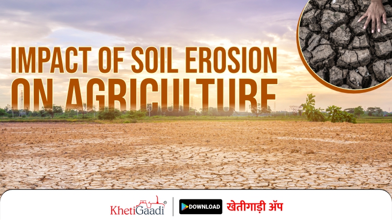 Impact of Soil Erosions on Agriculture