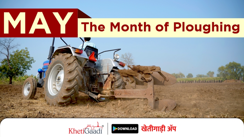 May: The Month of Ploughing