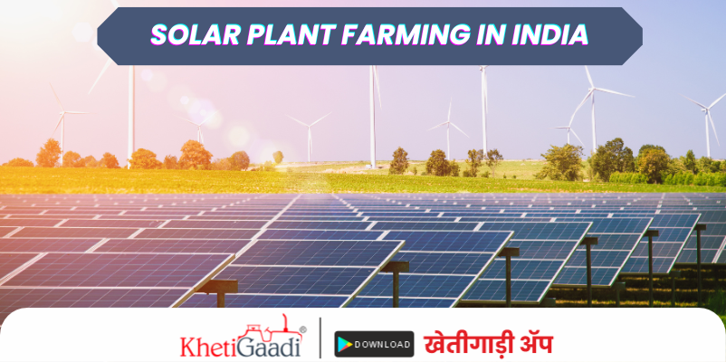 How to Start a Solar Plant Farming Business?