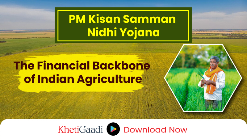 PM Kisan Nidhi Yojana : Financial Freedom for Indian Farmers