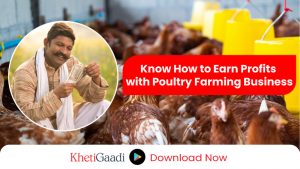 How to start a successful Poultry Farming business in India? 