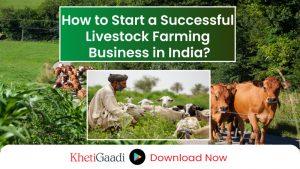 Livestock Farming in India: A Comprehensive Income Opportunity