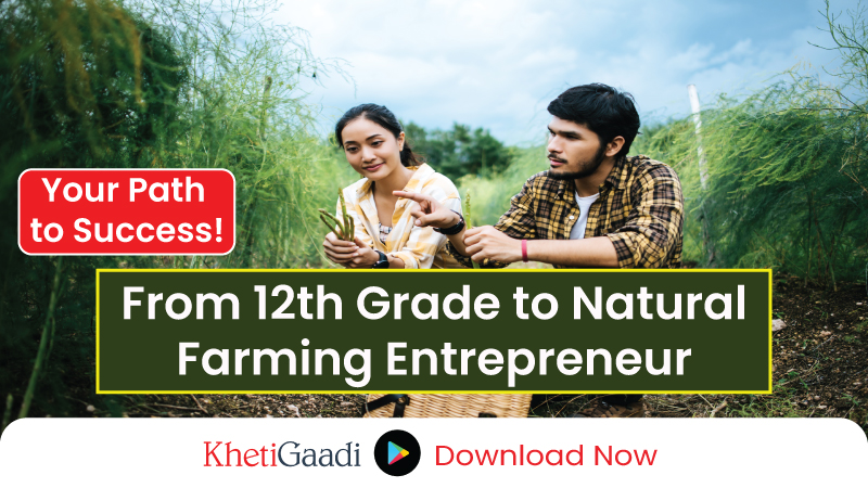 Education and Career Prospects for Indian Youth in Natural Farming 