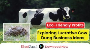 How to Make a Profitable Business from Cow Dung 