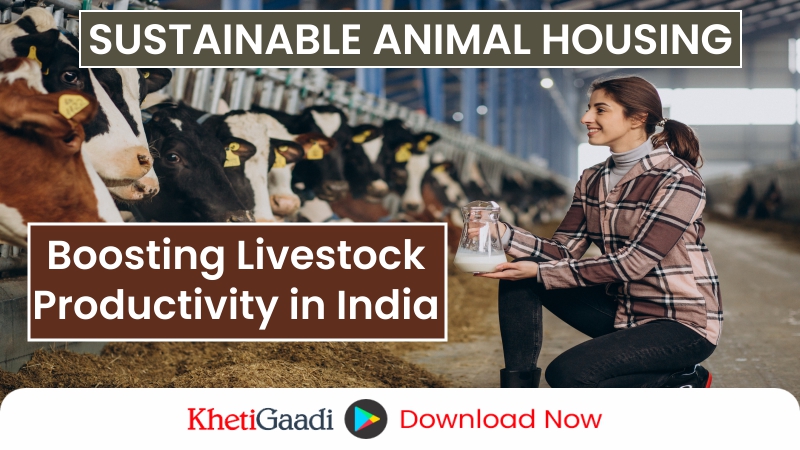 Animal Housing and Management in India: Key to Sustainable Livestock Farming 